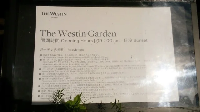 ウェスティンホテル東京「龍天門」でランチ_1_9-3