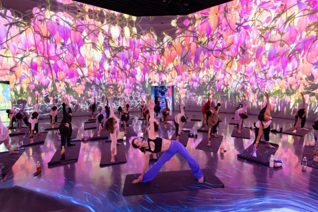 「森ビル デジタルアート ミュージアム：エプソン チームラボボーダレス」麻布台ヒルズ, 東京