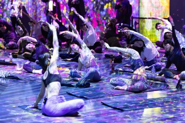 「森ビル デジタルアート ミュージアム：エプソン チームラボボーダレス」麻布台ヒルズ, 東京