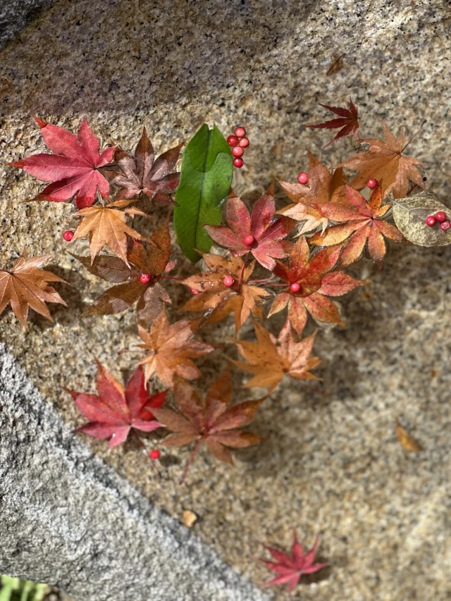 【秋旅】恒例の岐阜・中津川グルメツアー