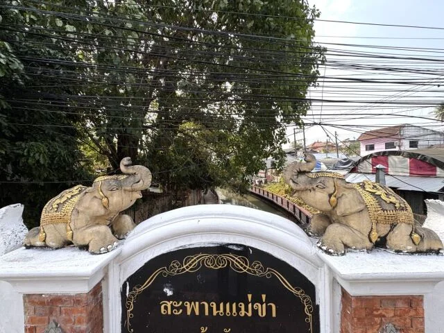 40代の初チェンマイ２日間ひとり旅｜カオソーイか否か、それが問題の【後編】_1_41