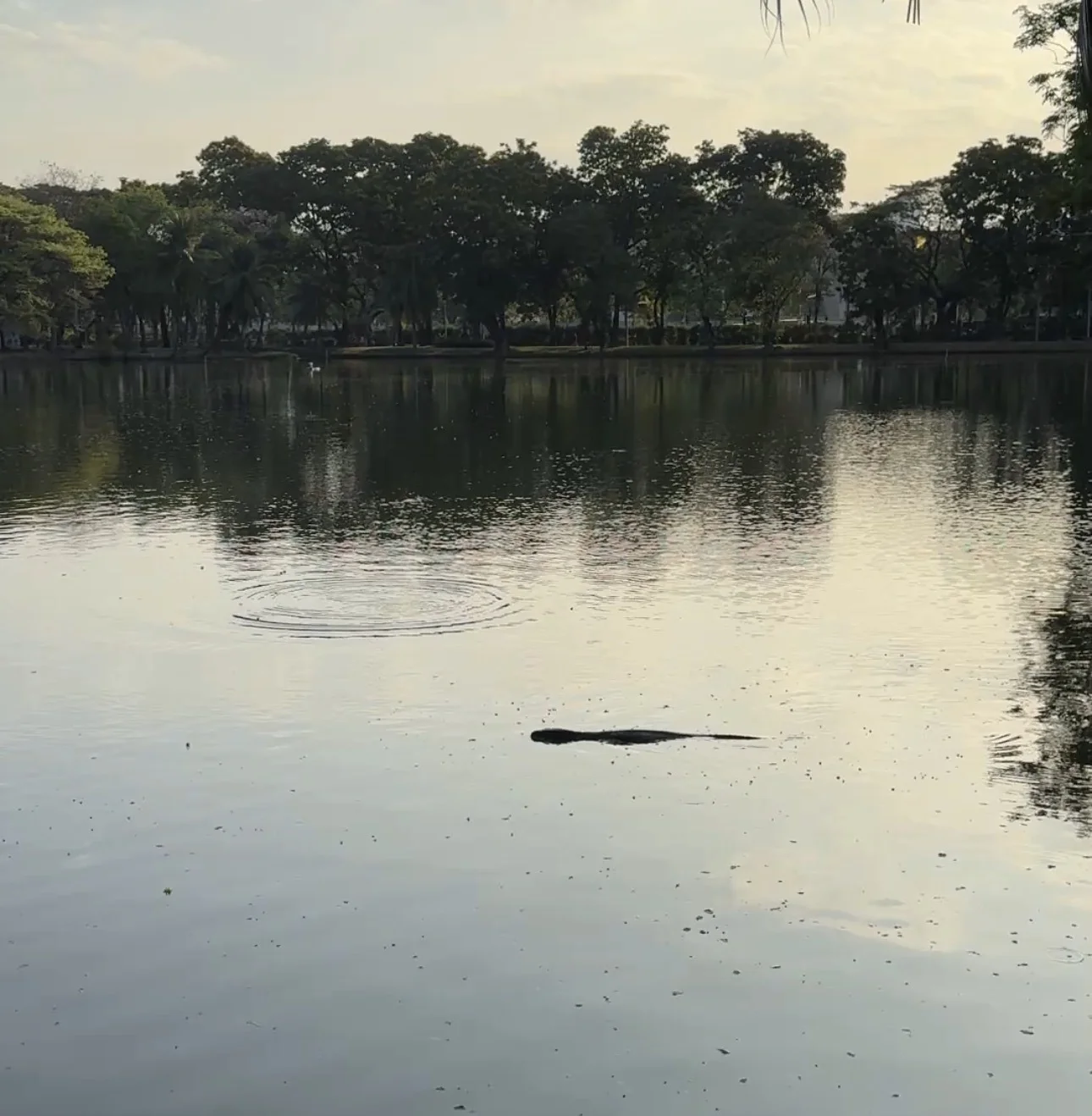 ザ・スコータイ・バンコク宿泊記｜絶品朝食ビュッフェにドイツ人が集まる理由。_1_37