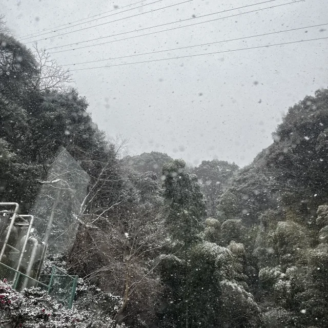 我が家の”受験じまい”旅行_1_7