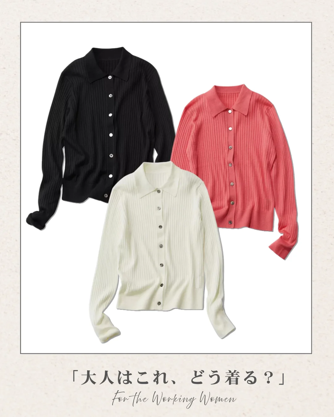 M7days襟付きリブニット３色展開