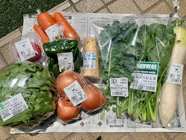有機野菜セット(9品)が736円
