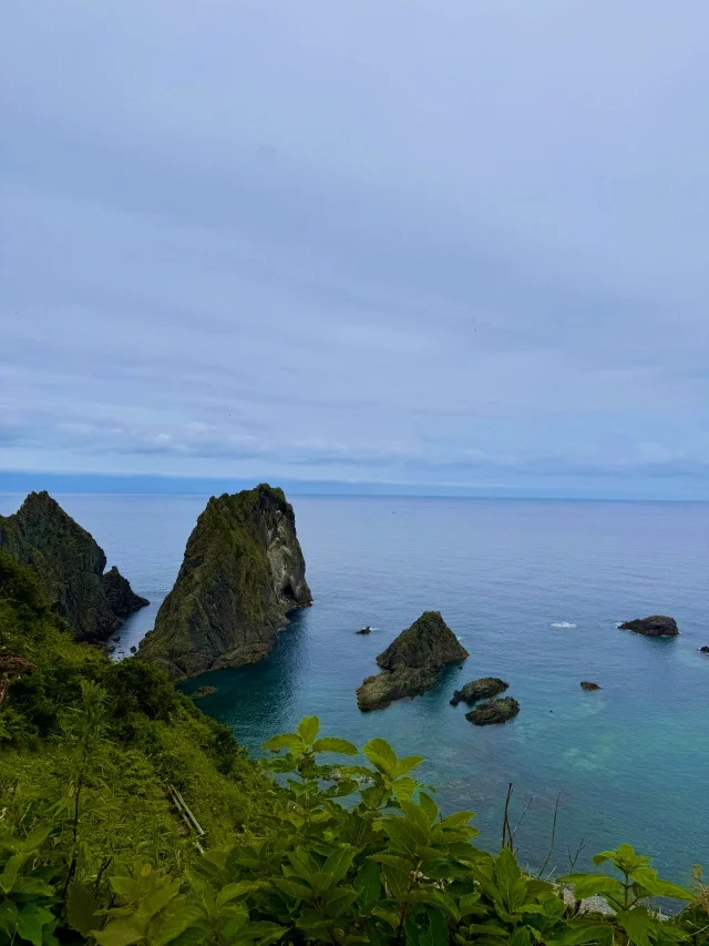 旬のウニを求めて積丹半島～ 2日目：旅はセレンディピティ～_1_7