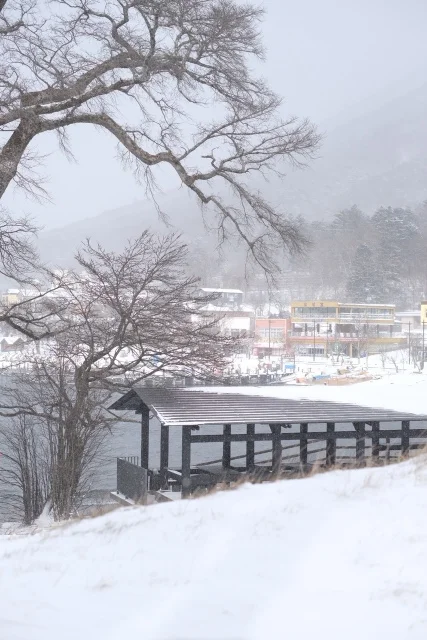 雪の中禅寺湖周辺を散策