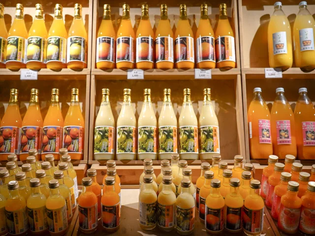 マルシェ　VISON