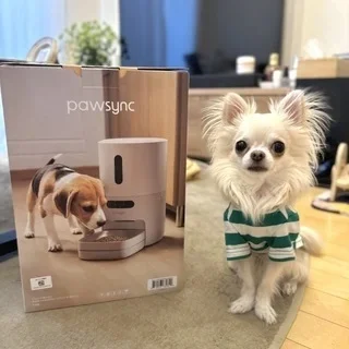 新習慣とアイデアで暮らしをアップデート! 美女組流・充実した毎日を送るヒント_1_20