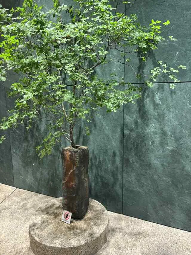 初夏スイーツ【期間限定】鈴懸「なつみずきの苺大福」が絶品!_1_7