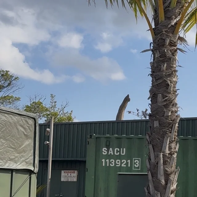 ジャングリア沖縄