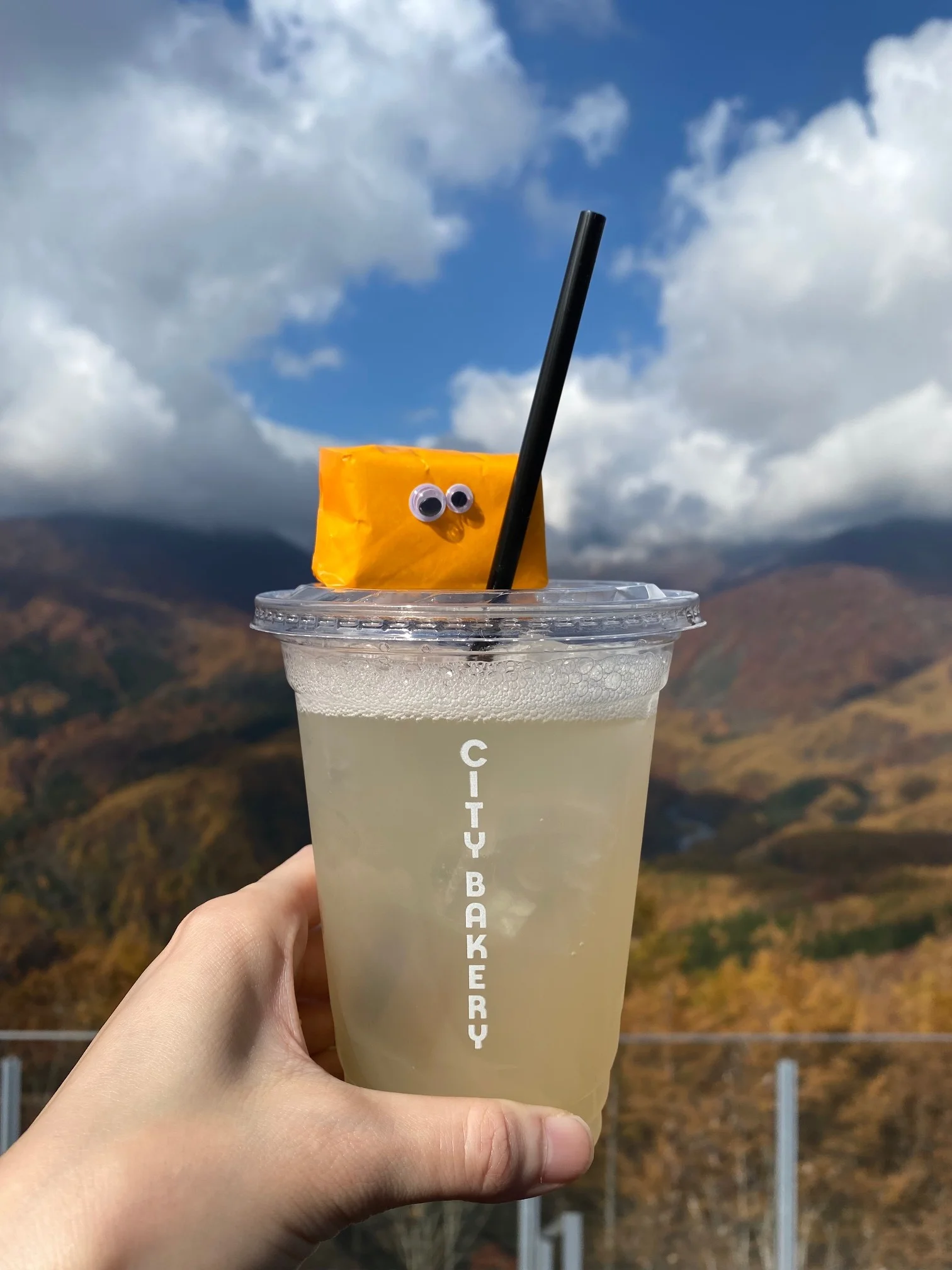 雪山と紅葉、この時期にしか見れない絶景を堪能【私のおでかけプラン（白馬編）】