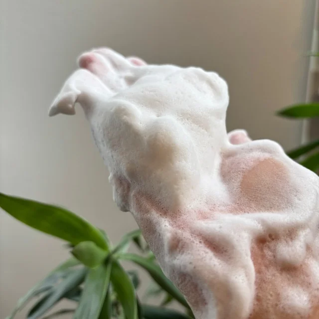 【マツキヨで価格バグ】塗るサーモン注射こと、浸透型PDRN美容液が3000円台は安すぎ_1_9-2