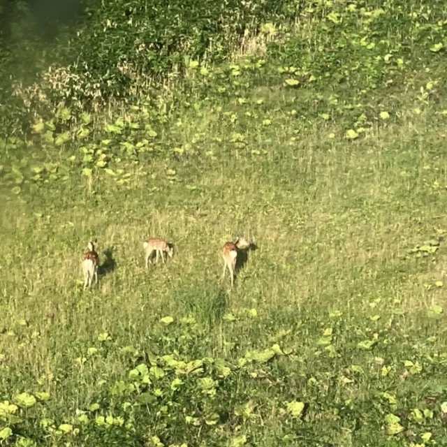 夏の北海道　家族旅 \4日目　南富良野編/_1_4-2