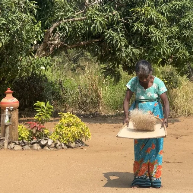 「騙された！ジープサファリで起きた想定外の出来事【スリランカ旅行②】」_1_11