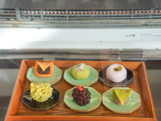 VISON はっぱすたんど