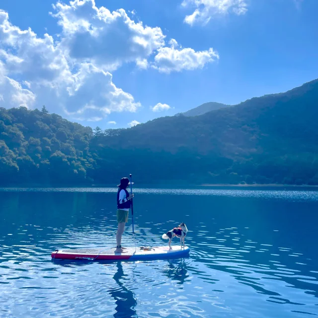 キャンプ　山中湖