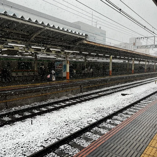 我が家の”受験じまい”旅行_1_8