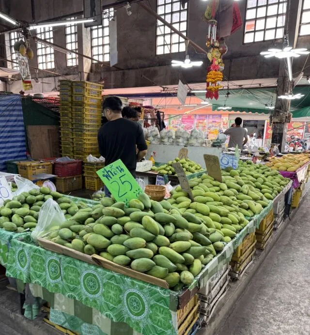 40代の初チェンマイ２日間ひとり旅｜カオソーイか否か、それが問題の【後編】_1_8