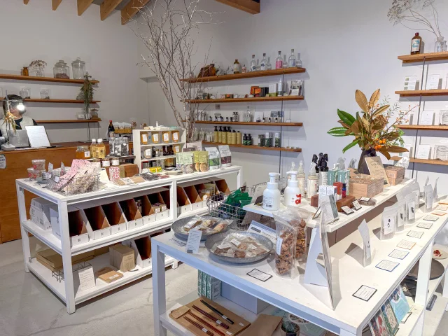 VISON 本草研究所　RINNE