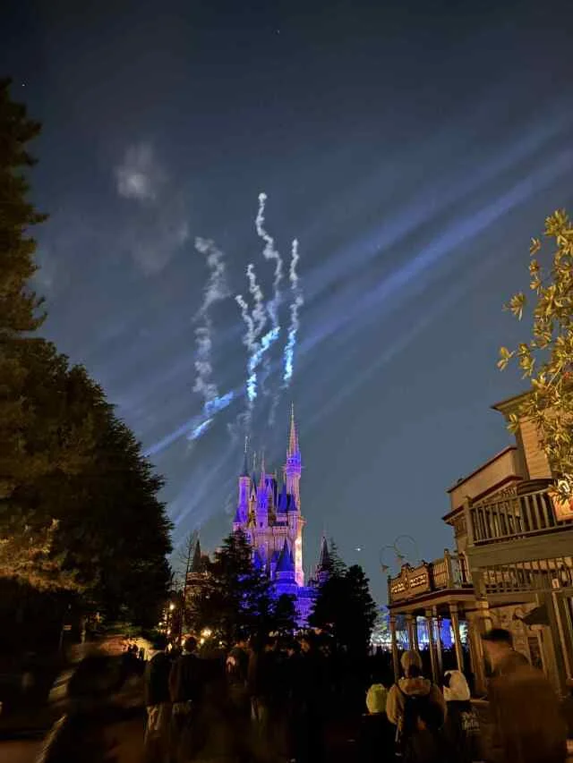 【ディズニーランド初心者＆久々さん向け】大混雑期のお正月子連れディズニー振り返り_1_17-1