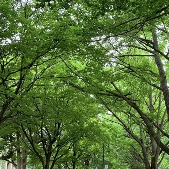 夏の北海道　家族旅 \1日目　札幌編/_1_4-1