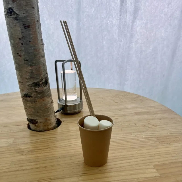 リアルアナ雪の世界へ！自然が織りなす芸術【氷濤 氷の美術館】_1_6