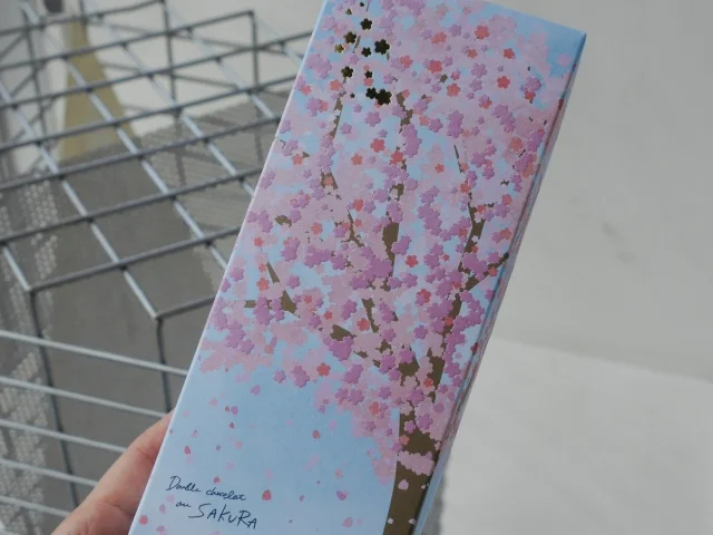 春のうららかな陽気を感じさせてくれる満開の桜並木と青空