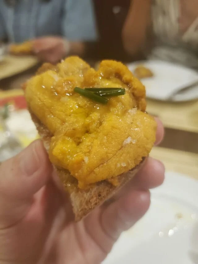 ボガマリクチーナマリナーラのウニのタルティーヌ、夏の前菜料理