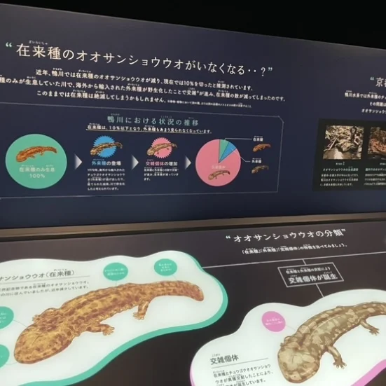 秋のお出掛けにもぴったりな京都水族館🦭_1_3-1