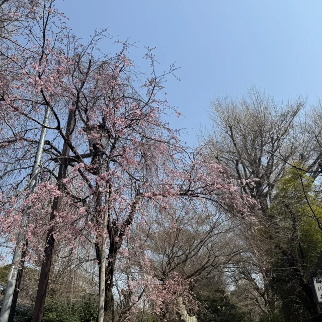 上野で楽しむ御朱印・空間デザイン・韓国グルメ！_1_8