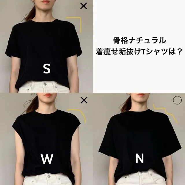 Tシャツ着比べ画像