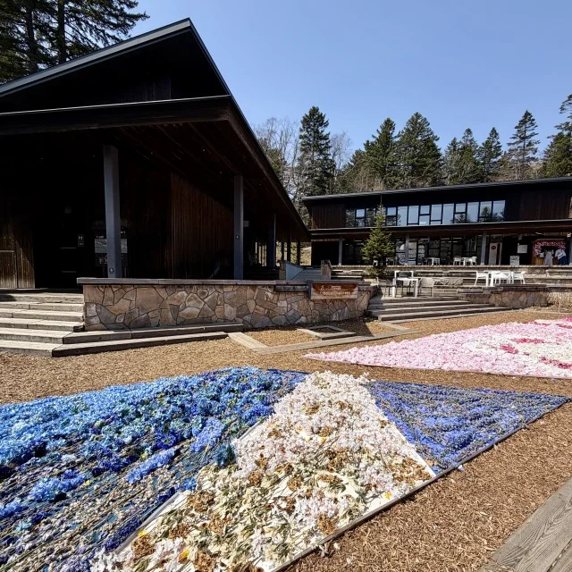 花咲くカーペットを眺めながら楽しむ“お花見団子アフタヌーンティー”_1_14