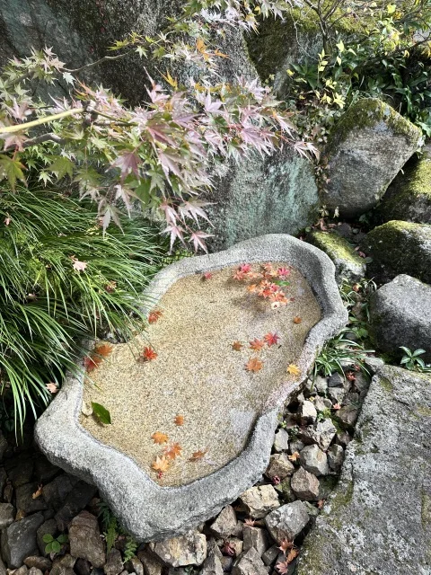 すや　西木の御庭