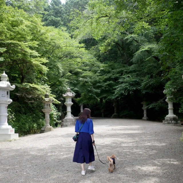 愛犬と小旅行　初めての佐原へ　_1_4-1