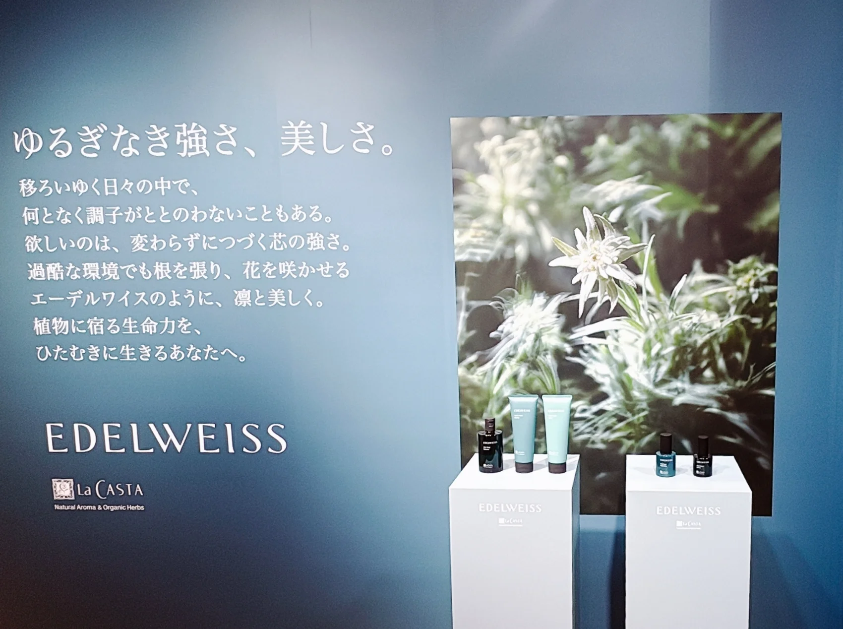  ラ・カスタ「エーデルワイス」 シリーズ　新作ヘアケア　発表会の写真