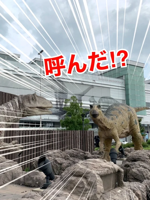 福井　恐竜