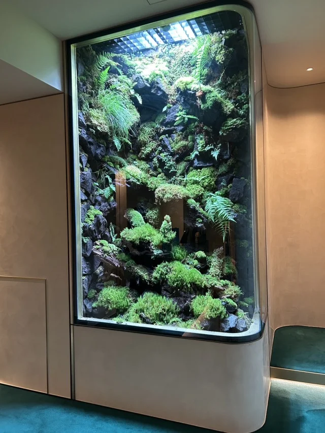 視界が開く、頭が軽い、髪質が変わる。 ヒト幹細胞培養液×極上空間の“銀座本格ヘッドスパ”体験！_1_2-2