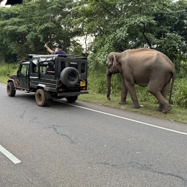 円安時代の海外旅行。体験重視で楽しむ新しい旅のかたち【トラベル】_1_47