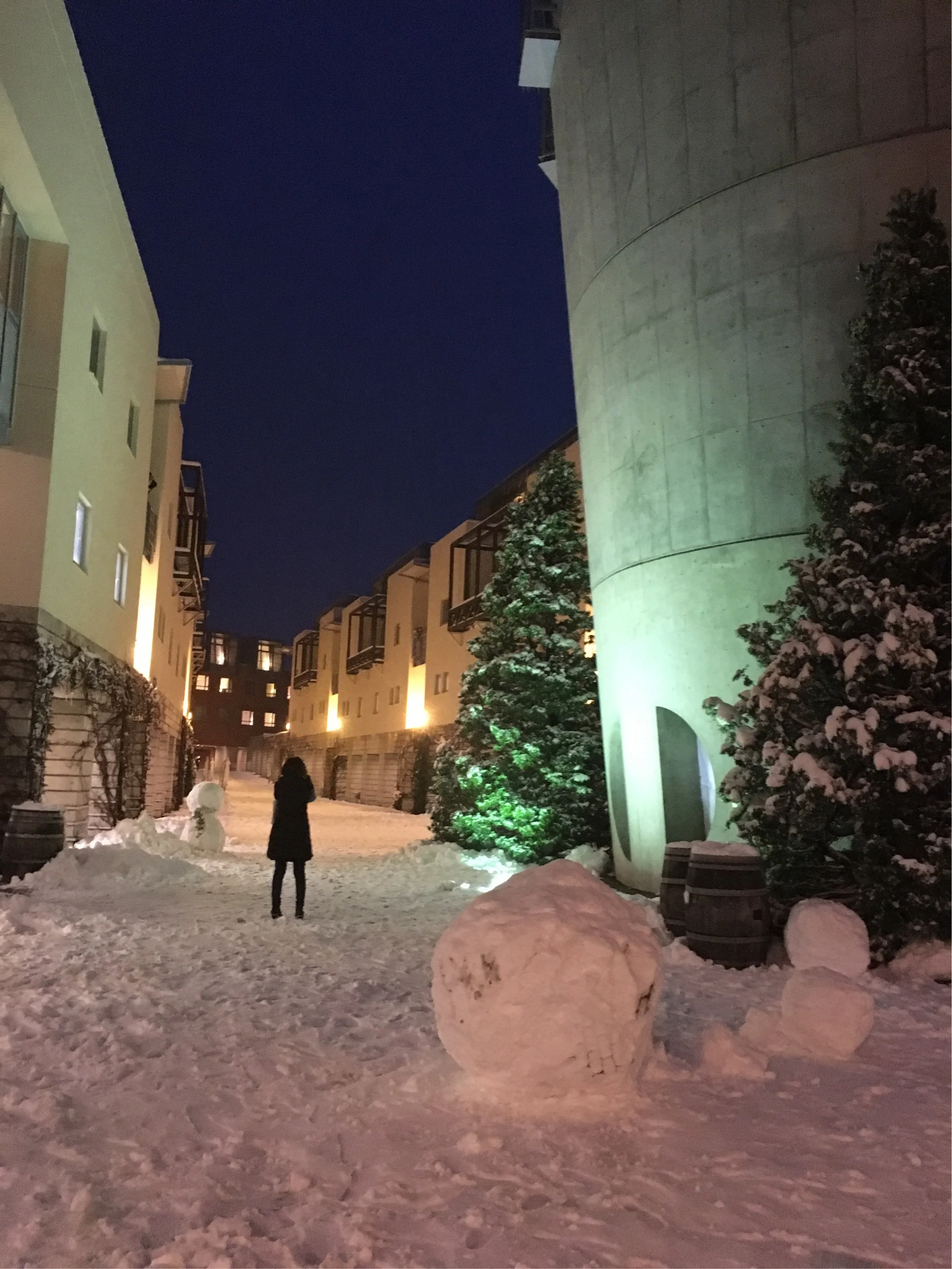 まさかの大雪。八ヶ岳旅行へ。