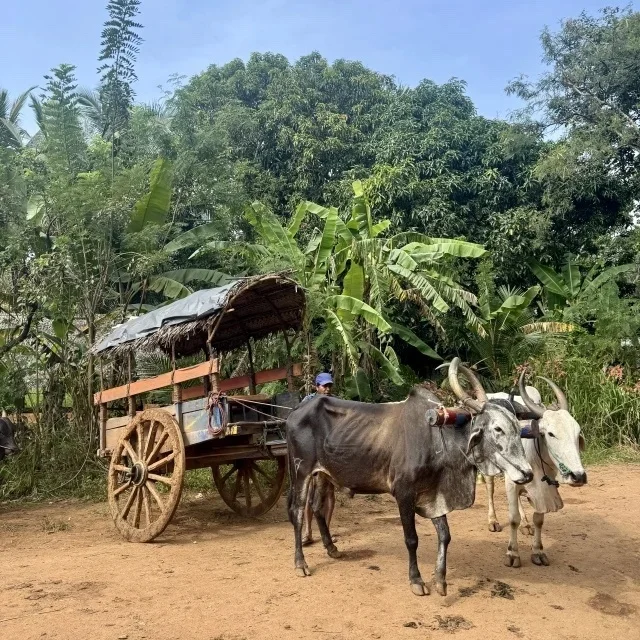 円安時代の海外旅行。体験重視で楽しむ新しい旅のかたち【トラベル】_1_51-2