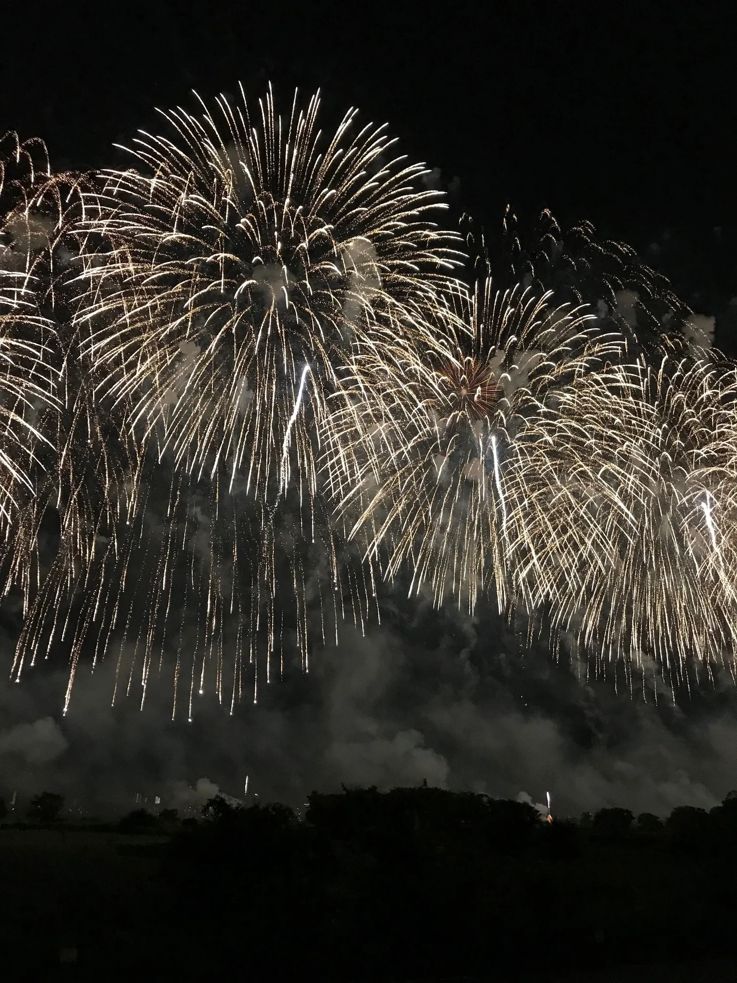 夏の風物詩といえば花火！地元長岡の花火を満喫してきました♡