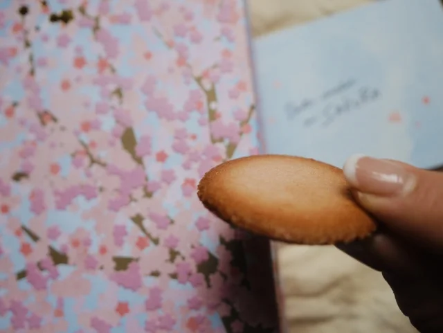 春の風物詩である桜を鑑賞するだけではなく、味わいまで堪能