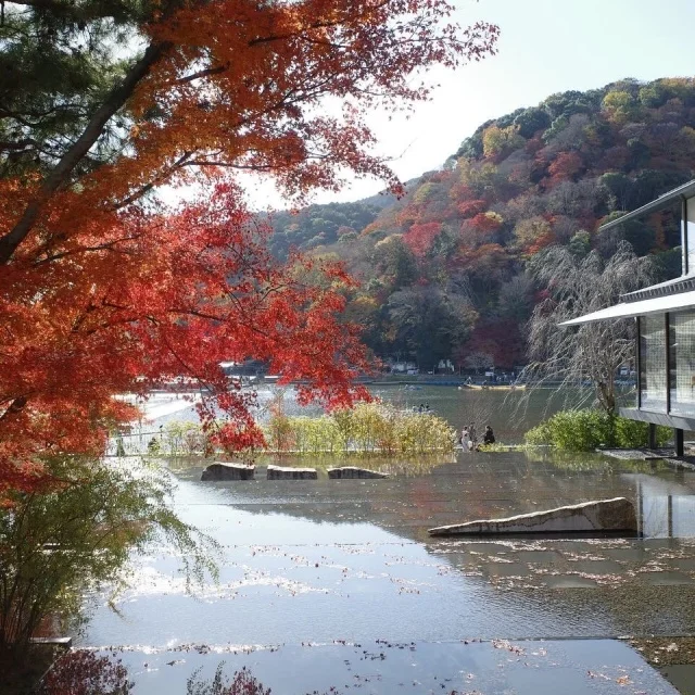 京都の嵐山で紅葉狩り♡_1_2-2