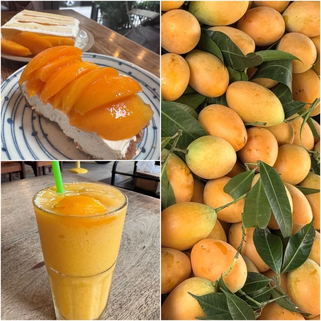 【タイグルメ】２〜３月に絶対食べたい、季節限定の熱帯フルーツ『マヨンチット』