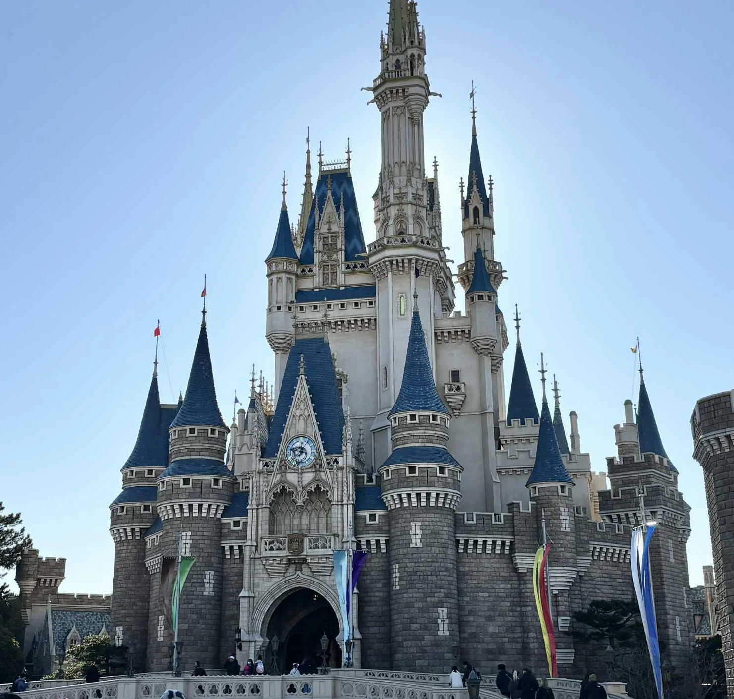 【ディズニーランド初心者＆久々さん向け】大混雑期のお正月子連れディズニー振り返り