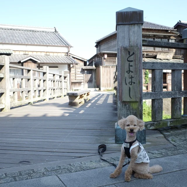 愛犬と小旅行　初めての佐原へ　_1_1-1