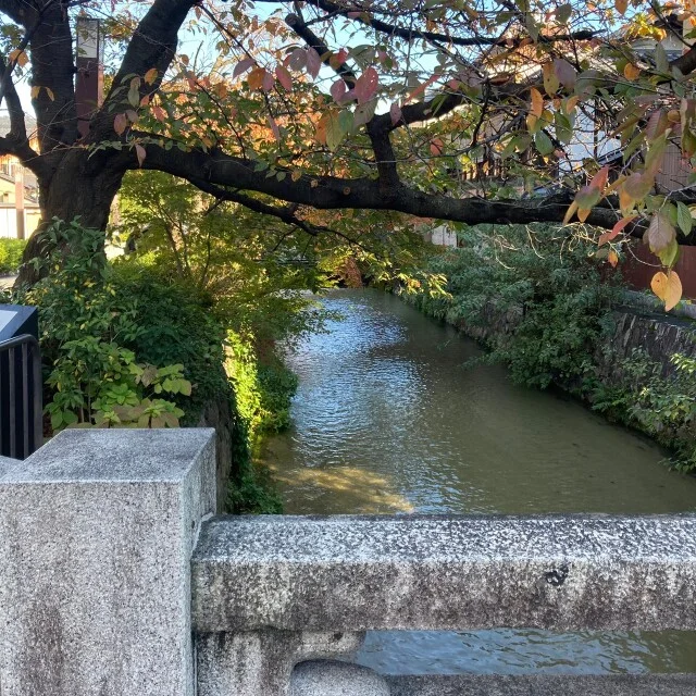 秋の京都の風景
