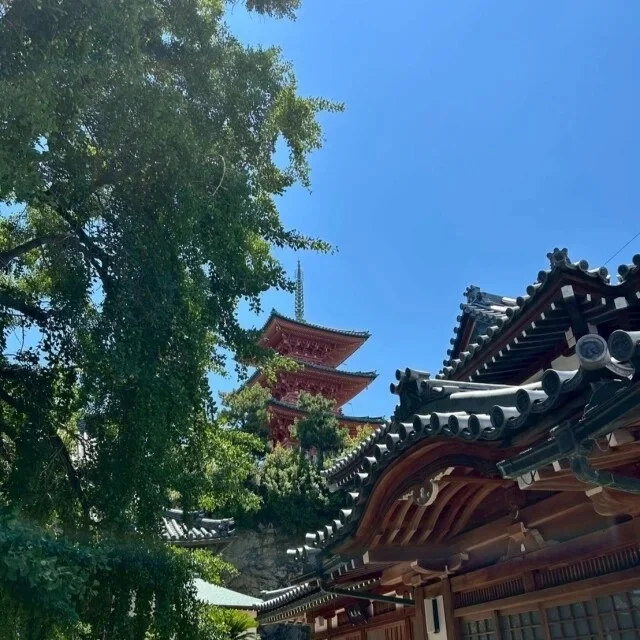 秋の週末旅にぴったり！ 北海道・東北・四国・九州で楽しむ絶景＆グルメ旅_1_28-1