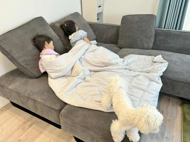 【BAKUNE Comforter Cool】「快眠温湿度」で夏の睡眠環境を整える!_1_8